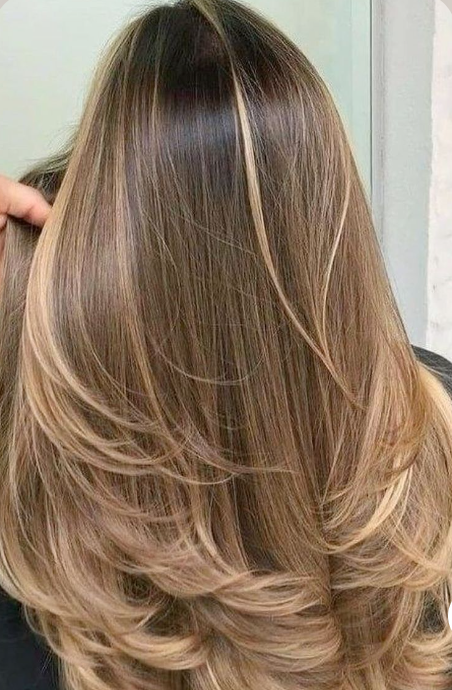 Hair Cut - Women Delhi